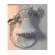 Chuveiro Ducha (ss) 3T 220V 5200W  - cód 6116 - ZAGONEL