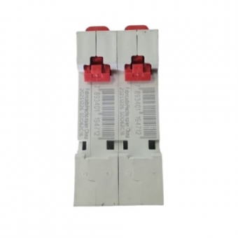 Disjuntor Bipolar STECK C16A - Cód 313