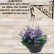 Suporte Para Pendurar Vaso De Planta Parede