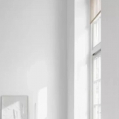Tinta Coral Rende Muito 20l - Tinta concentrada  BRANCO GELO