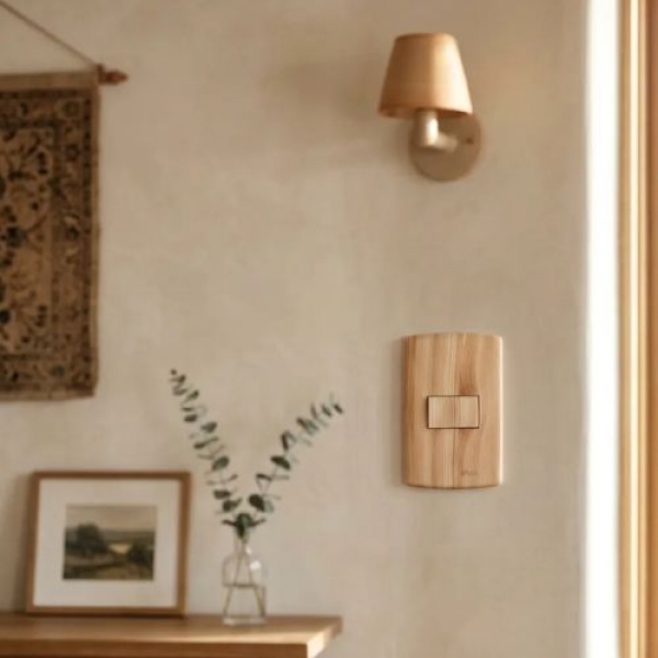 1 Interruptor Tecla Simples 10A 250V - ANGELIM