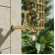 Torneria Curta Jardim 1/2 X 3/4 Cód: 7539 - LINHA METAL