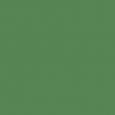 Irapiso Tinta para Piso Premium 3,6L - Irajá - VERDE QUADRA