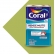 Tinta Coral Rende Muito 16L - Tinta concentrada - VERDE LIMÃO