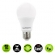 LÂMPADA LED BULBO 12W LUMANTI