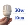 Kit 10 Lâmpadas LED Bulbo T70 30w - 6500k