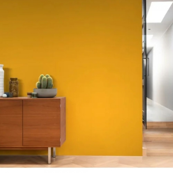 Tinta Coral Rende Muito 16L - Tinta concentrada - AMARELO FREVO