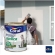 Massa Acrílica Coral 1,5kg Interior e Exterior - Coral - LATINHA