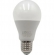 Lâmpada Bulbo Led 15W, Luz Branca Fria